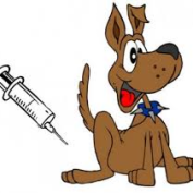 Očkování psů a koček proti vzteklině 30.3.2024 2